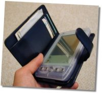 Case for my HAndspring Visor