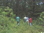 The Road Scholars Crew with the Forest Manager walking through the forest